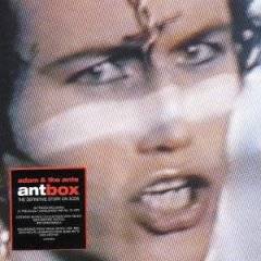 Antbox